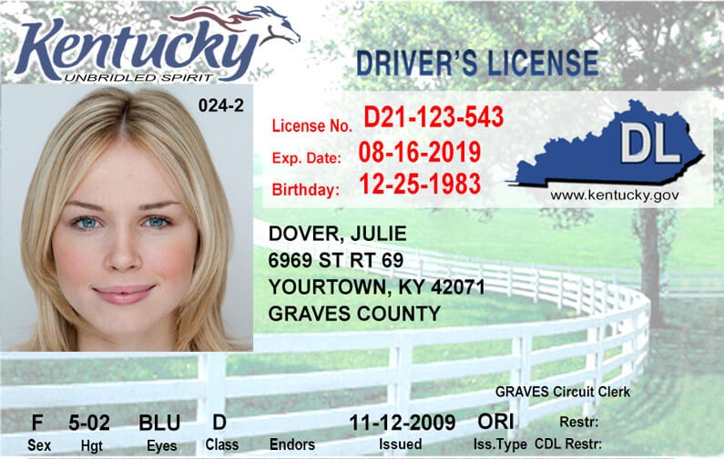 maine drivers license check