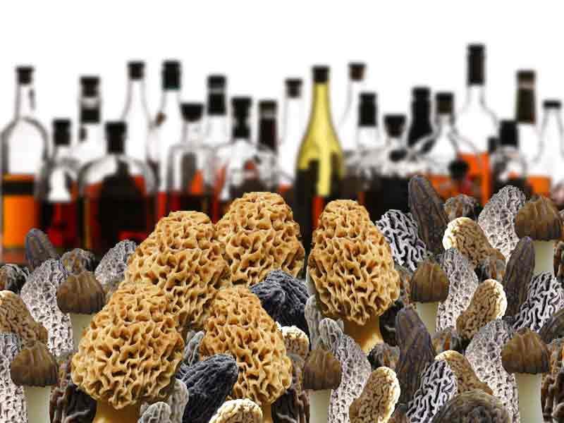Can St. Joe Cave help Bardstown be the Bourbon Mushroom Capital of the World?