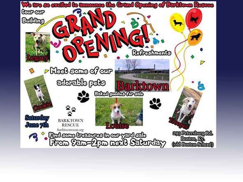 Tour Barktown Rescue’s new shelter in Boston at open house Saturday
