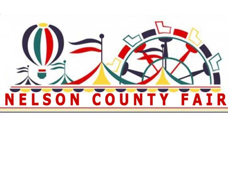 Area youth participate in NC Fair’s Little Miss, Mister and Pre-Teen pageants